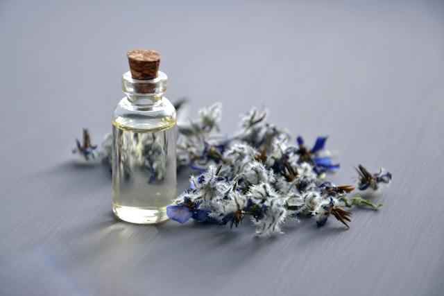 Les bienfaits de l’aromathérapie sur les cheveux et le cuir chevelu